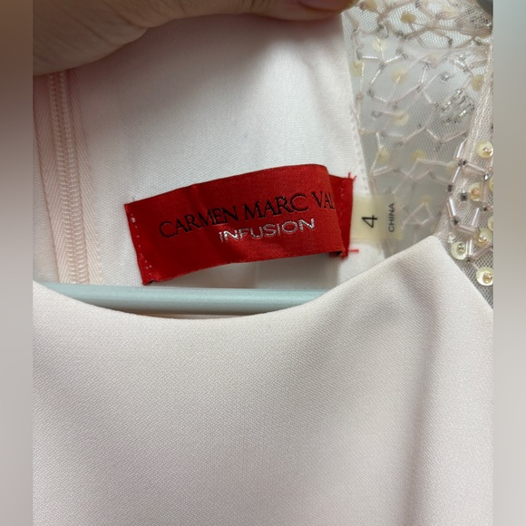 Pale Pink Evening Gown (Size 4) - Picture 5 of 6